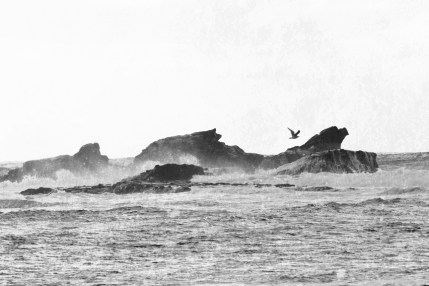 Oceanscape // Half Moon Bay