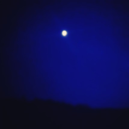 Winter // A cold night in the Los Gatos Hills // ©2013 Lisa Martinskis